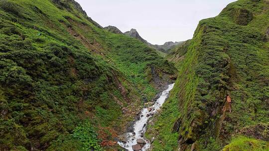 四川甘孜磨西镇燕子沟高山草甸风光