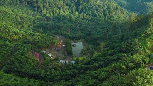 沙巴斗湖观景顶度假村的日落鸟瞰图