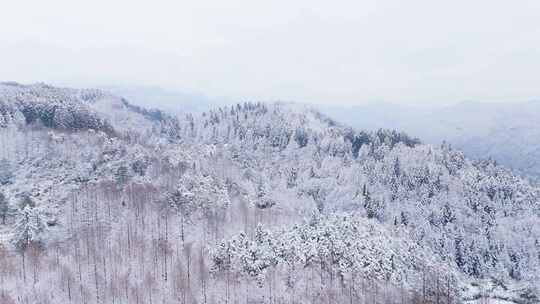 航拍山王坪冬天雪景