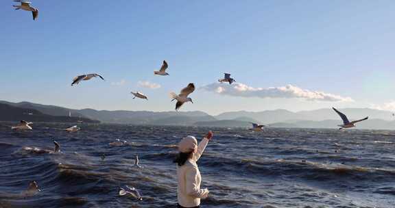 （慢镜头）大理洱海日出美女喂海鸥唯美镜头