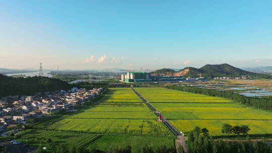 乡村振兴宣传空镜稻田村居旅游产业