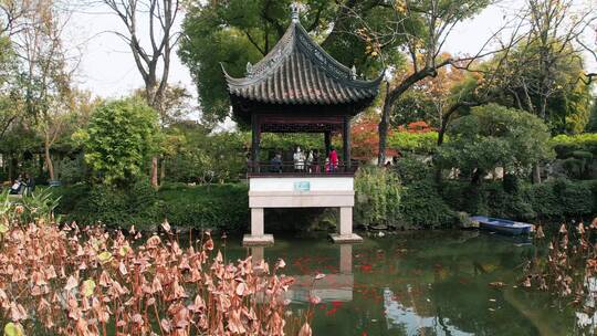 上海青浦区古典园林曲水园风光