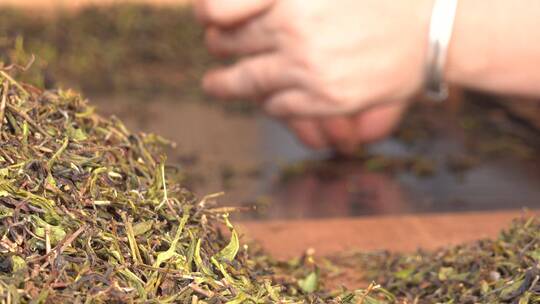 大红袍 武夷山大红袍 茶山  茶叶加工 茶厂