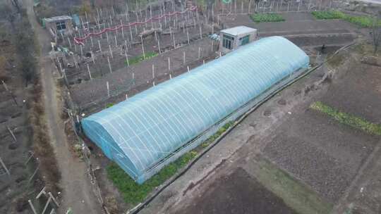 汇报篇蔬菜大棚