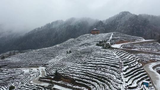 航拍茶园冬季雪景冰雪覆盖洁白世界