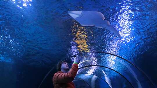 水族馆观光