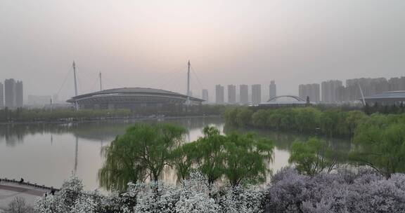 洛阳植物园樱花万物复苏春天公园道路航拍