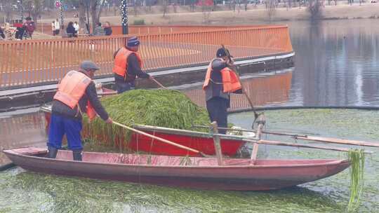 环卫工人清理水草