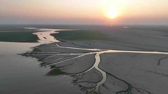 夕阳下鄱阳湖生命之树特写航拍视频