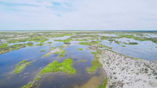 新疆阿勒泰乌伦古湖沼泽湿地自然风景航拍