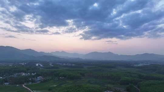 海南白沙茶园航拍空镜