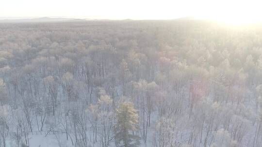 唯美长白山原始森林日出雪景航拍