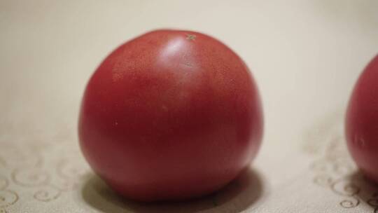 番茄西红柿 (9)