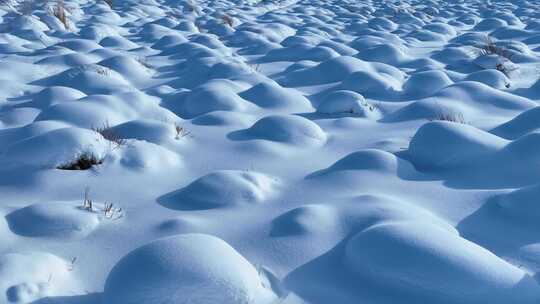 寒冬湿地草甸雪包雪景