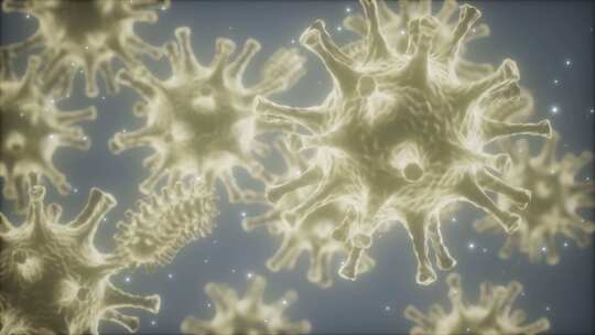 病毒细胞动画