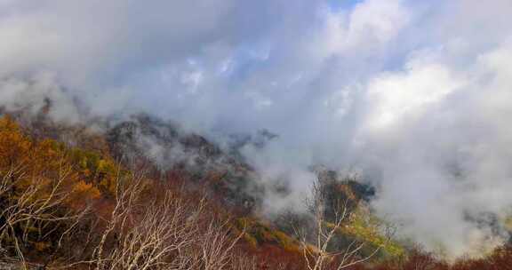 4K延时山顶秋色云海