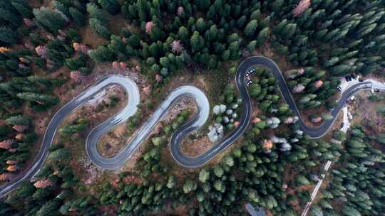 森林山地盘山公路