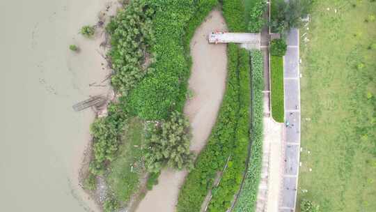 深圳湾公园航拍