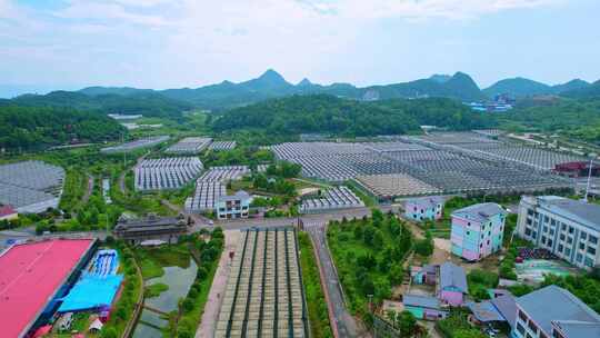 鸟瞰新农村大棚种植基地