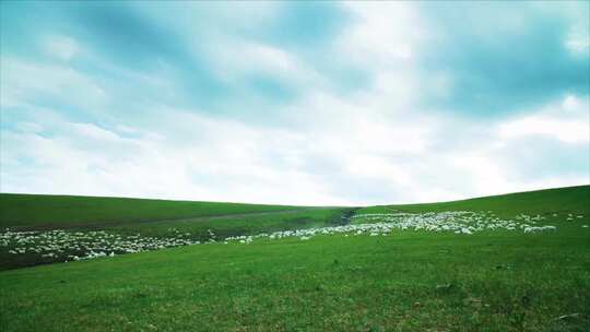 航拍草原峡谷蓝天白云牛群羊群自然风景