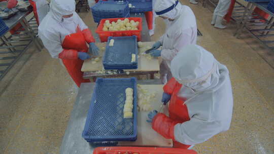 海参加工生产线工人在流水线上处理海鲜制品