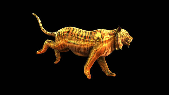 4k-金老虎奔跑-侧视图视频素材模板下载