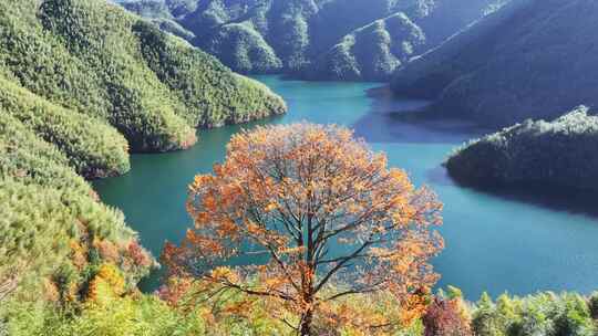 四明山秋天秋景秋色 茅镬公园