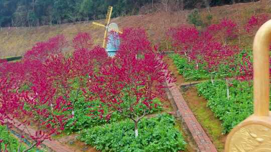 风车与桃花田园景观