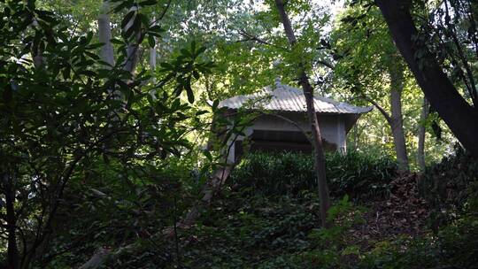 杭州宝石山景区金鼓洞景点