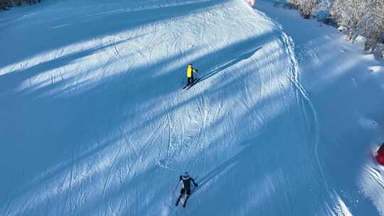 滑雪镜头雪场单板双板北大湖