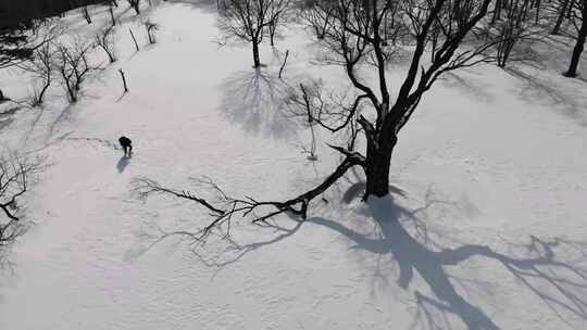 4K冬天冰天雪地人物在雪地艰难行走