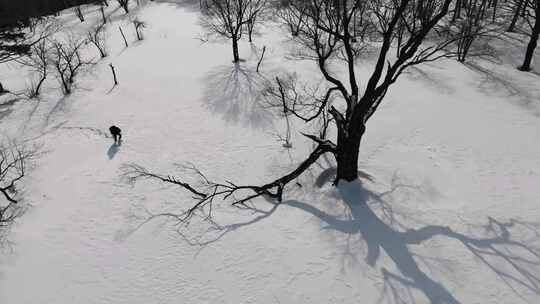 4K冬天冰天雪地人物在雪地艰难行走视频素材模板下载