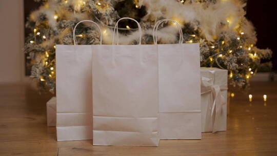 装圣诞礼物的纸袋视频素材模板下载