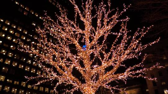 夜晚闪烁灯光的圣诞树