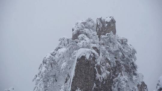 黄山 雪景 雾凇