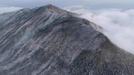 浙江丽水遂昌白马山森林公园4K云海雪景航拍