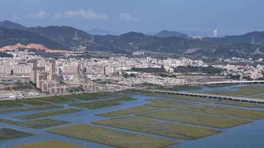 惠州市盐洲海洋湿地公园-红树林航拍