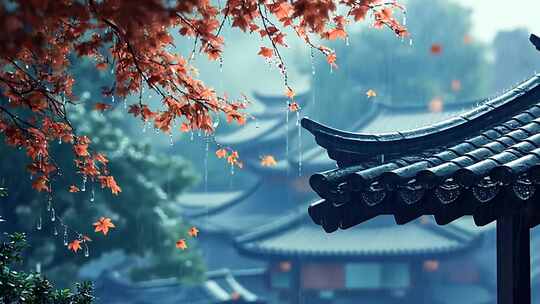 合集-清明节中国风雨中枫叶与中式古建筑