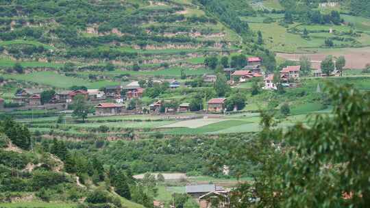 高原村庄田园森林风景