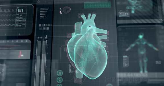 信息图表，心脏，心率，监护仪