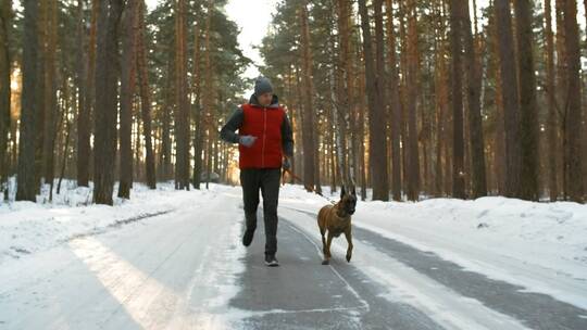 冬天森林道路上男人和牧羊犬跑步