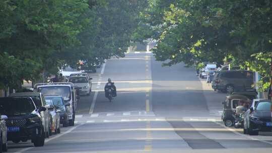 山东省威海市高新区通化路的林荫车流