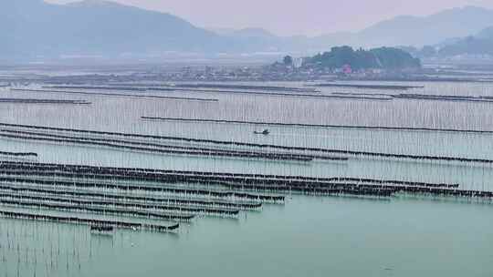 海洋养殖海带紫菜养殖业航拍福建霞浦