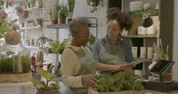 植物商店，女性，工作，剪贴板