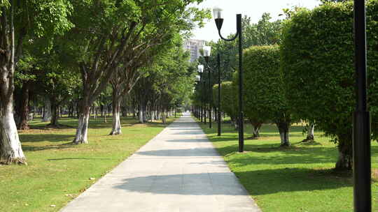 东莞城市公园场景
