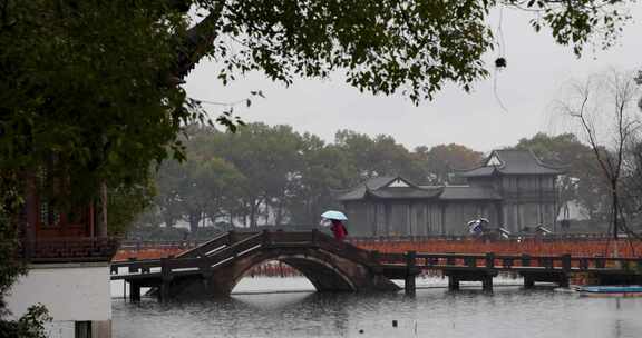 杭州西湖冬季雨天雨滴升格空镜