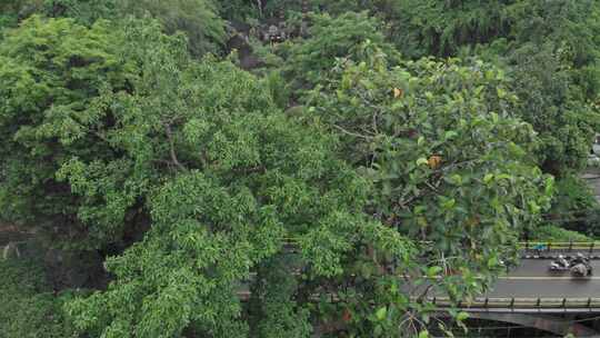 Ubud Pura Gunung Leb