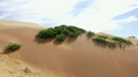 沙漠沙丘绿植自然景观