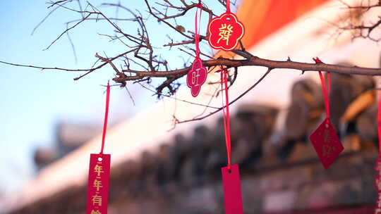 春节新年装饰喜庆氛围视频素材模板下载