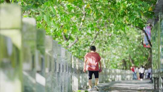 夏天城市行人树木空镜